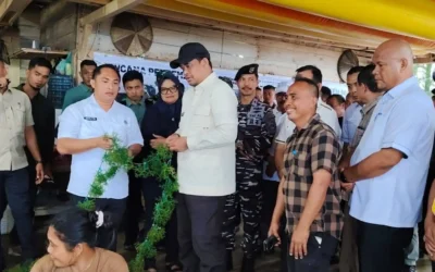 Kepala Dinas Kelautan dan Perikanan Provsu Mendampingi Gubernur Sumatera Utara Dalam Peninjauan Budidaya Rumput Laut