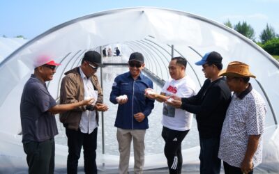 IDENTIFIKASI POTENSI TAMBAK GARAM DI NIAS UTARA
